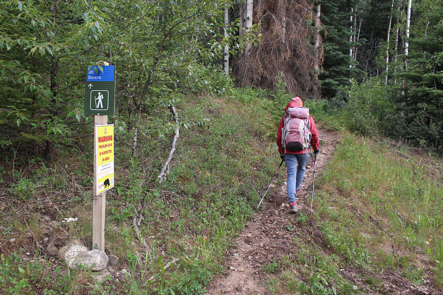 Just ignore the bear warning!