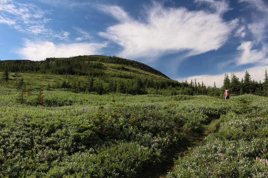 Not only possible but perhaps even preferable!