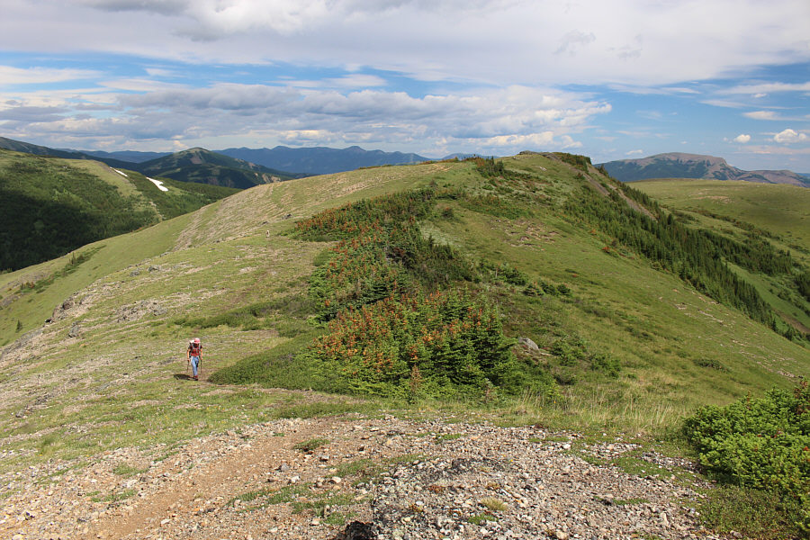 Can you spot Bella and Aaron in the background?