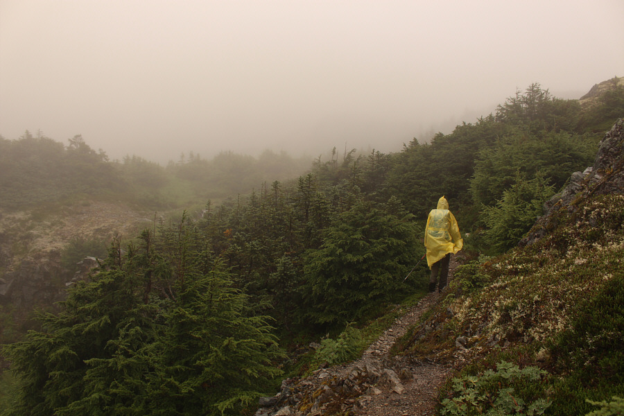 We probably should have turned around sooner!