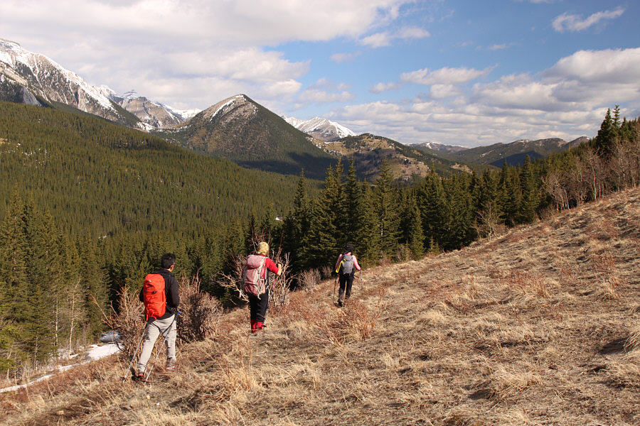 And drop down into sheer misery...