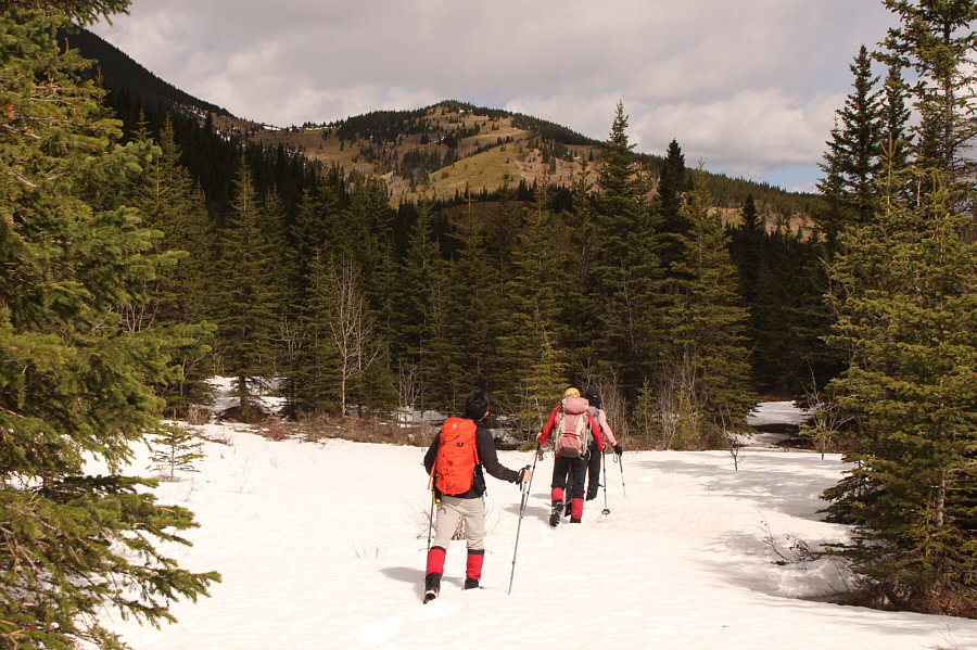 A green slope gives us hope!