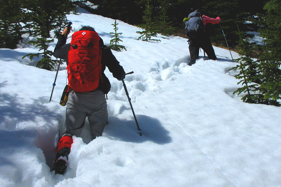 Not sure how much snowshoes would have helped here...