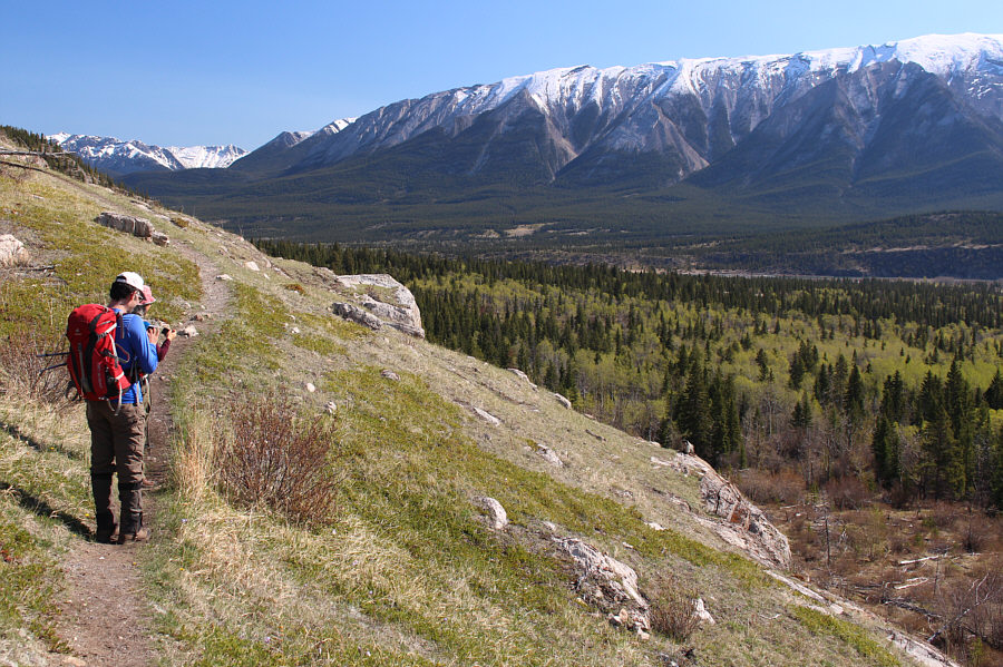 And it's not the distant mountains!