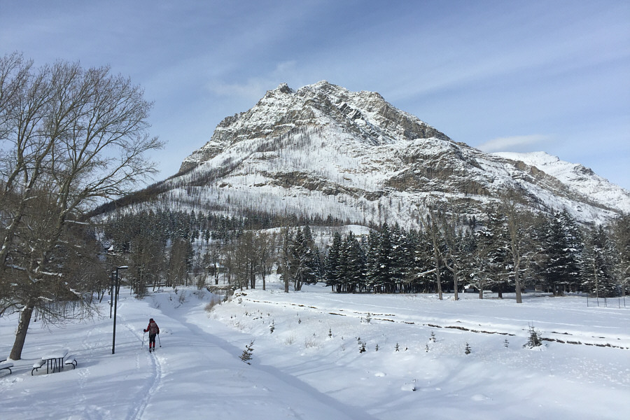 Even skiing around the townsite is super scenic!
