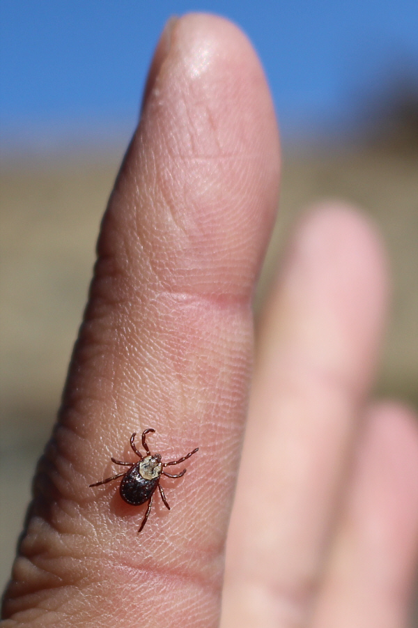 Cute little guy, don't you think?