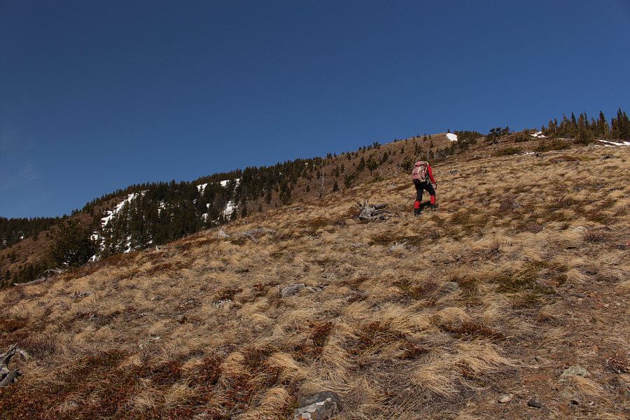 Maybe good for a ski ascent when there is snow!