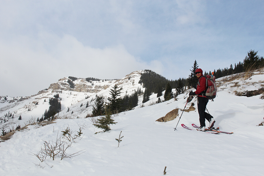 The upper slopes aren't calling my name today!