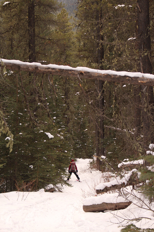 Why Wind Ridge is not a popular ski objective!