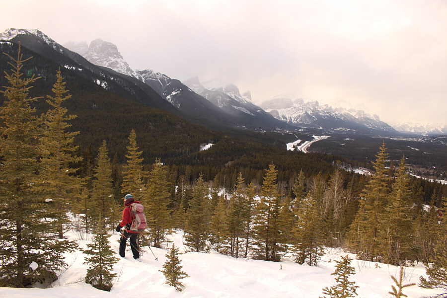 I plan to be back here after the next big dump of snow!