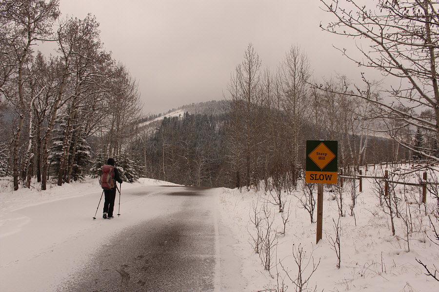 I still haven't climbed Mount McNab!