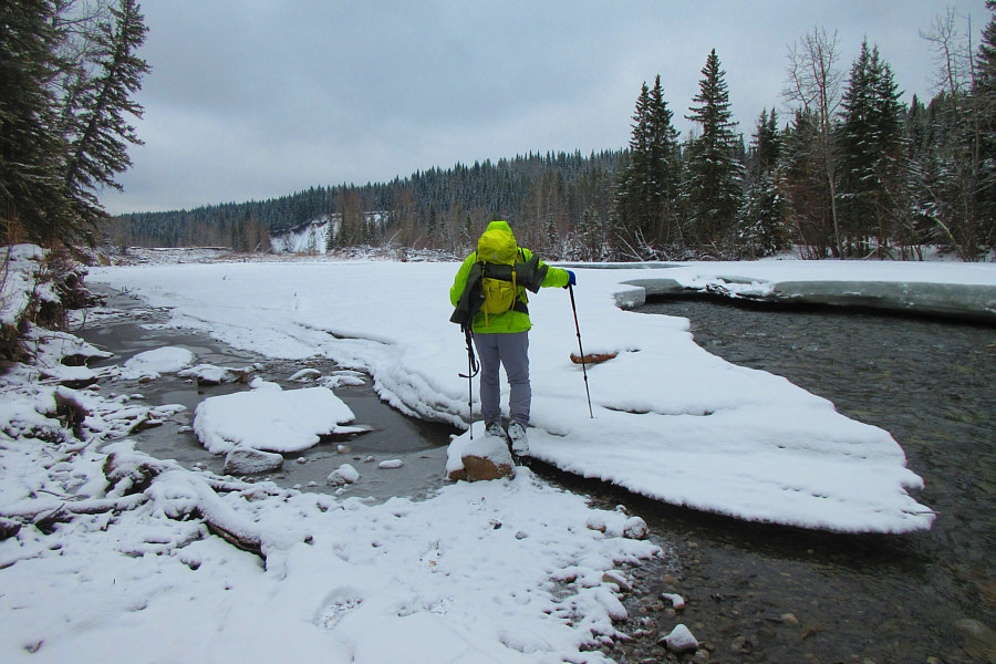 We saw bear footprints going the other way!
