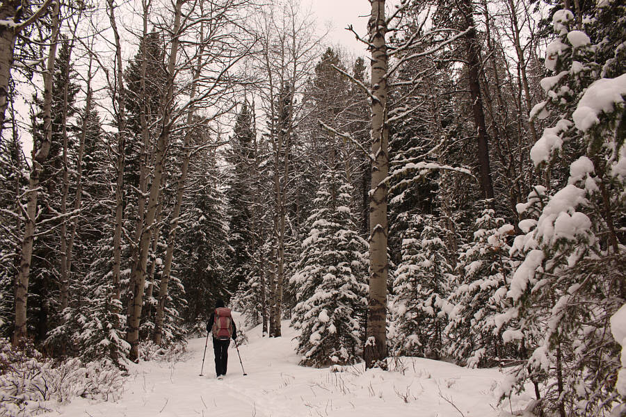 Technically, we're already a month into spring!