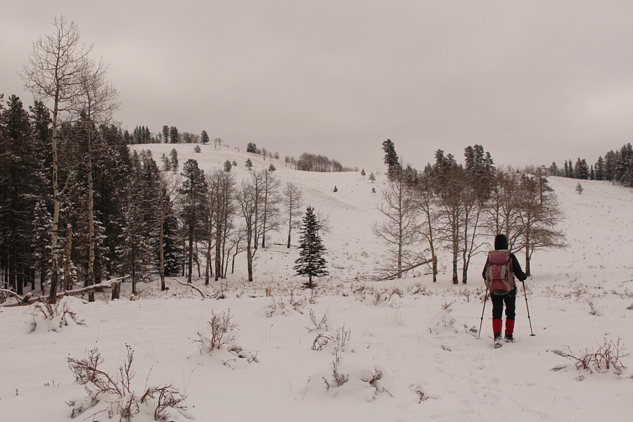 Looks like a good tobogganing hill!