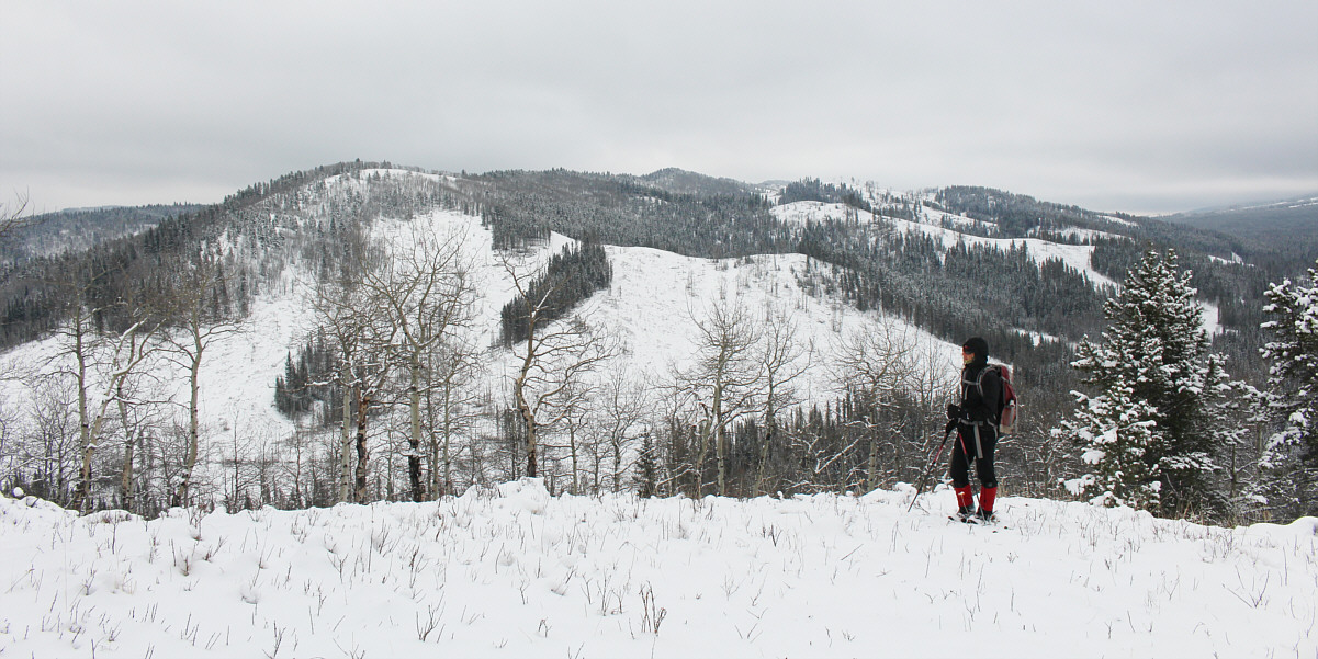 Sounds like a good plan!