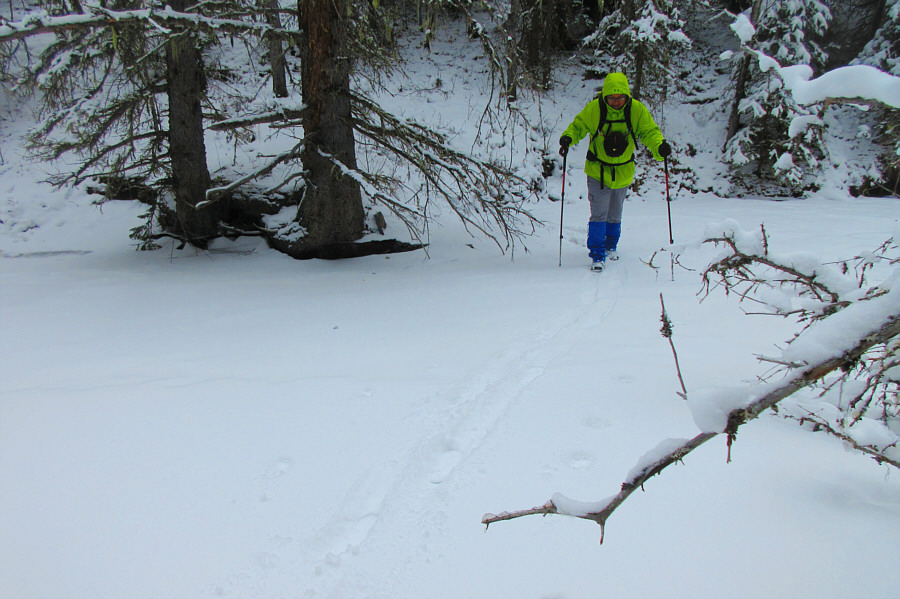 Definitely not as solid as the ice on Sheep River!