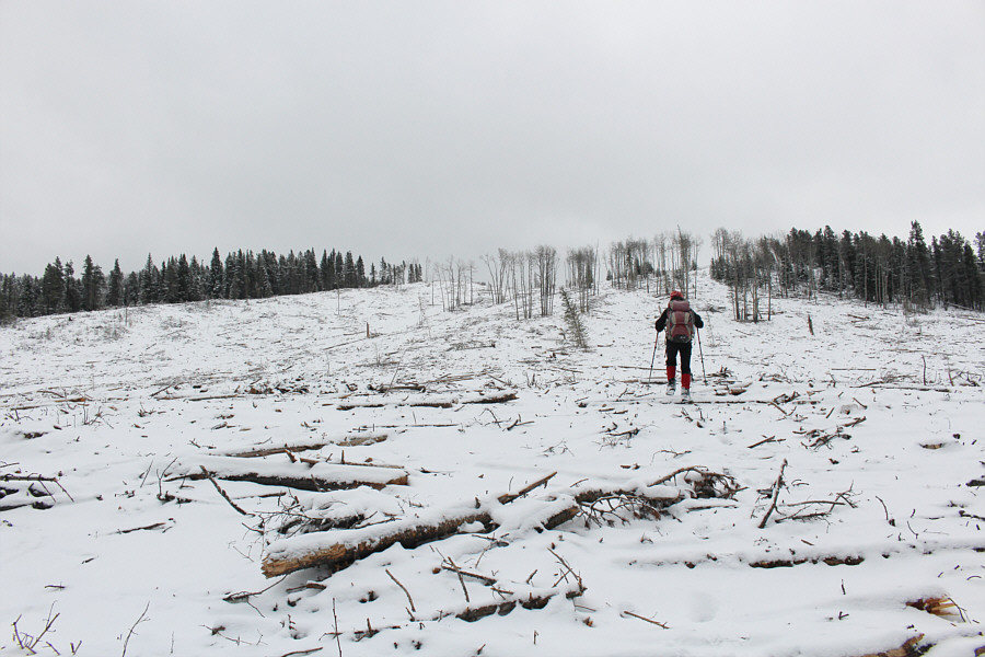 More tedious than it looks!