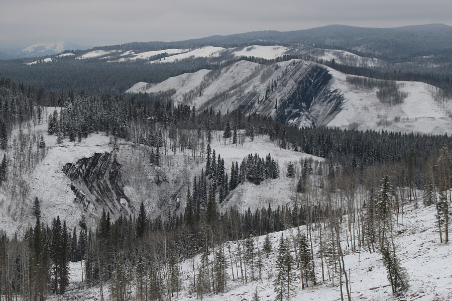 Always bet on black!