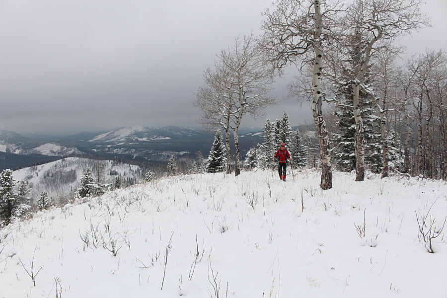 Still a long walk ahead of us to get to the high point...