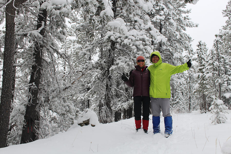 Looks like mid-winter here!