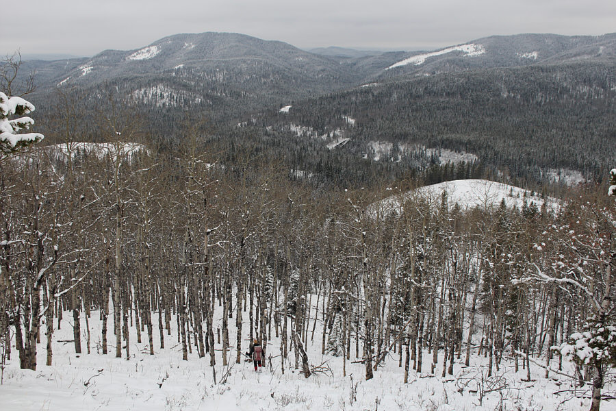 This would be a nice place to visit in the fall!