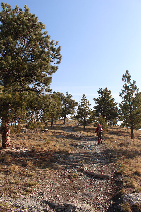 We're already there!