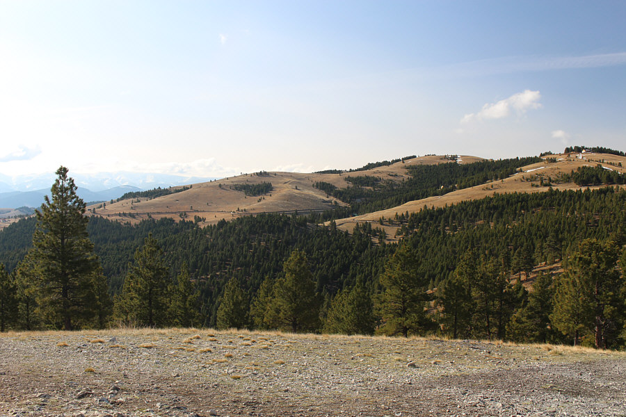 There are lotsa houses up in them hills!