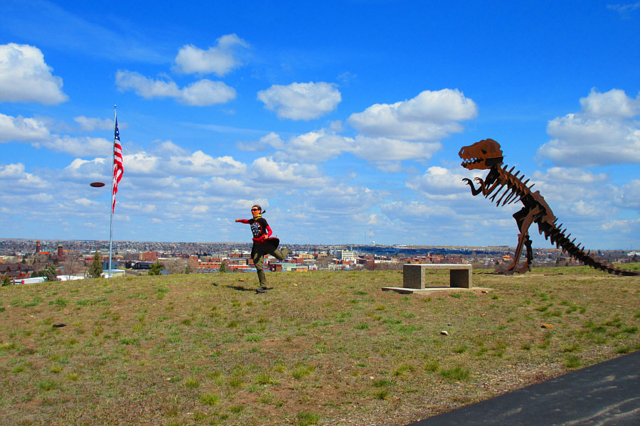 Maybe the T-Rex will chase the disc instead!