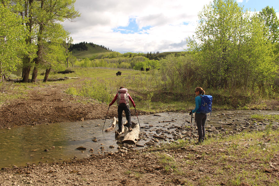 Try not to make a splash!