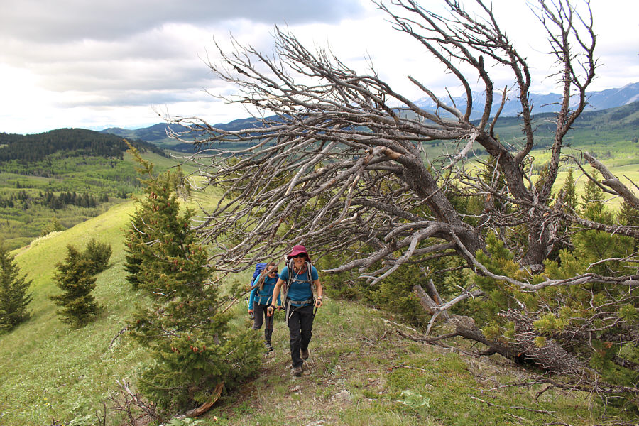 Fortunately, it wasn't that windy on this day!