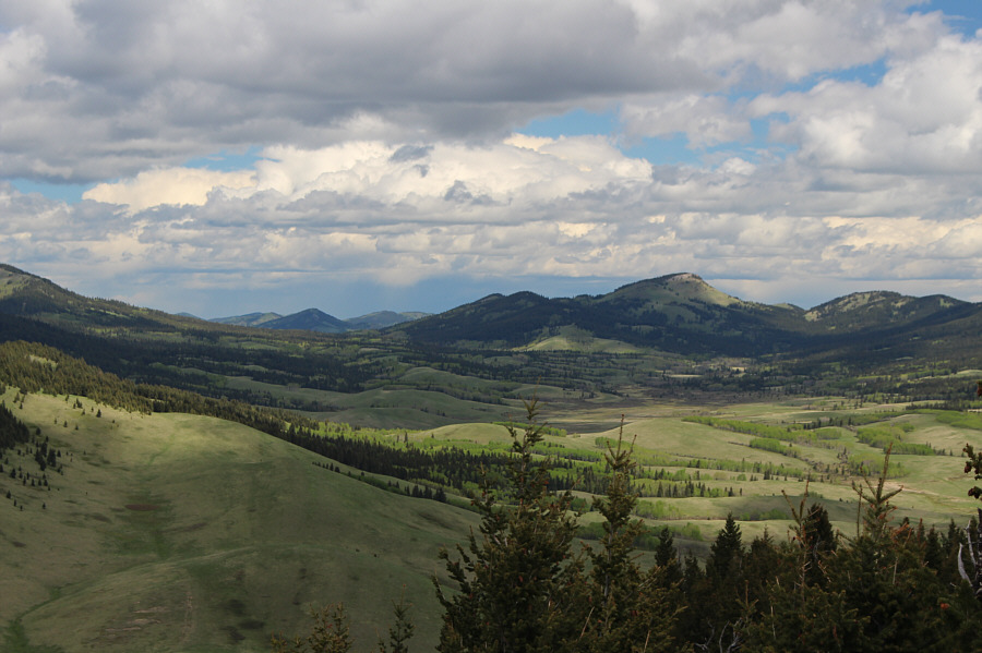 That will likely be an objective in the near-future...