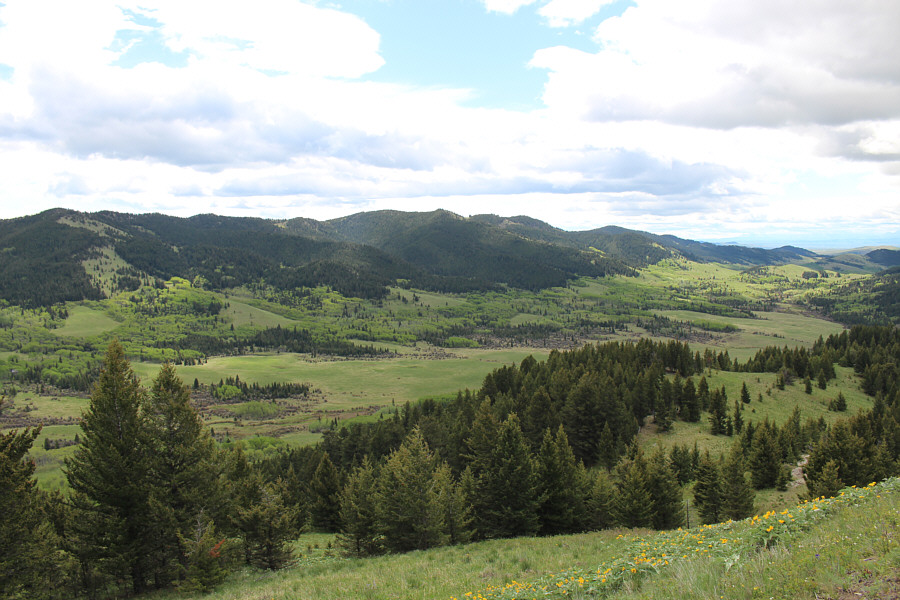 We just finished the appetizer--time for the main course!