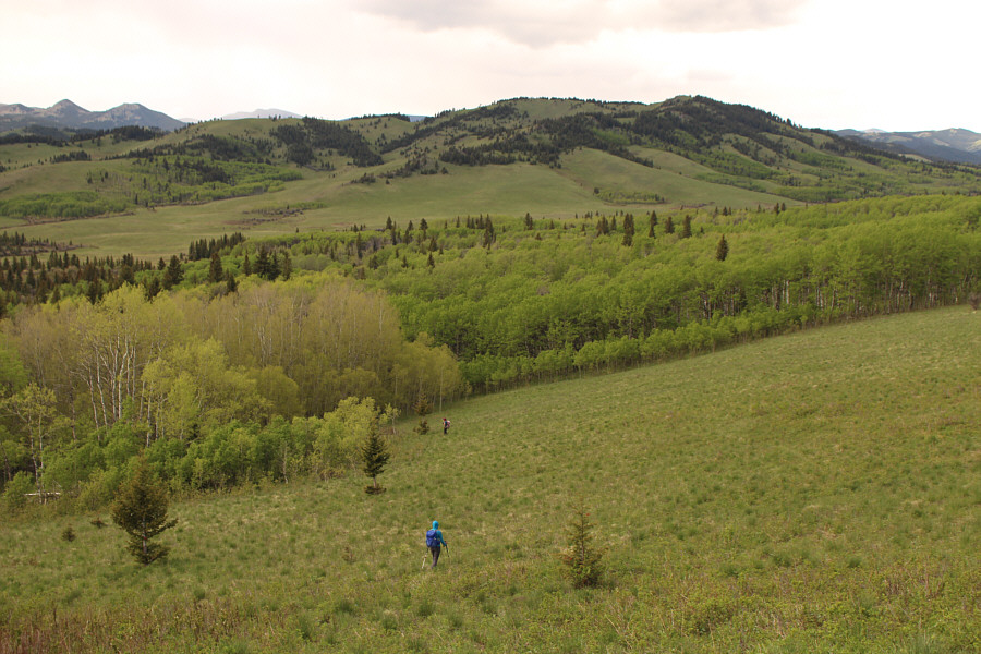 It's starting to rain a bit...