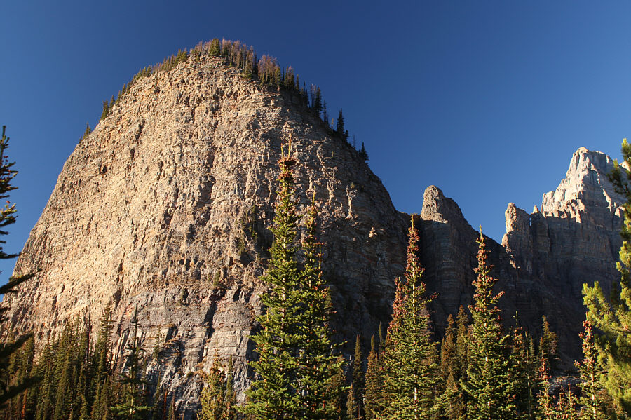 If that's Devils Thumb, I guess the rest of the Devil's hand is stuck in the beehive!