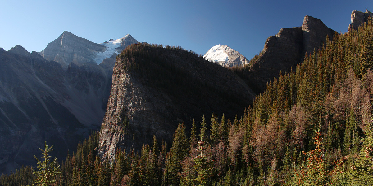 And Lefroy is the fairest of them all!