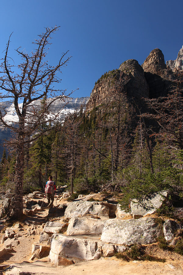 Sure doesn't feel like an official summit here!