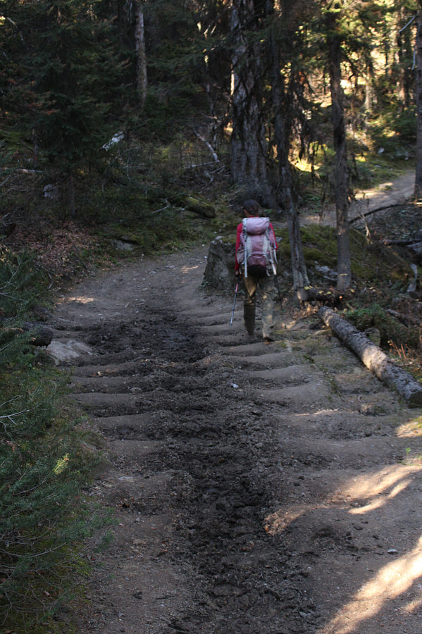 Lots of peace and quiet and horse dung here!