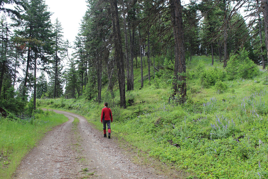 I wish I had my e-bike!