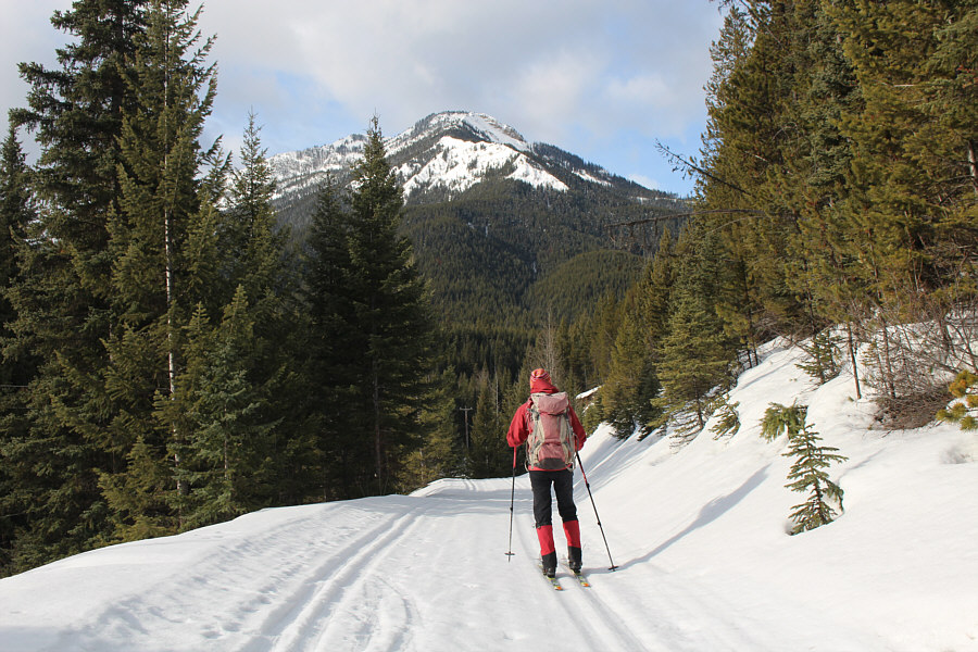Better than skiing on rocks, I guess!