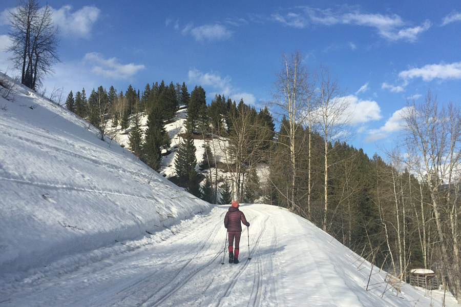 We should be skiing this!