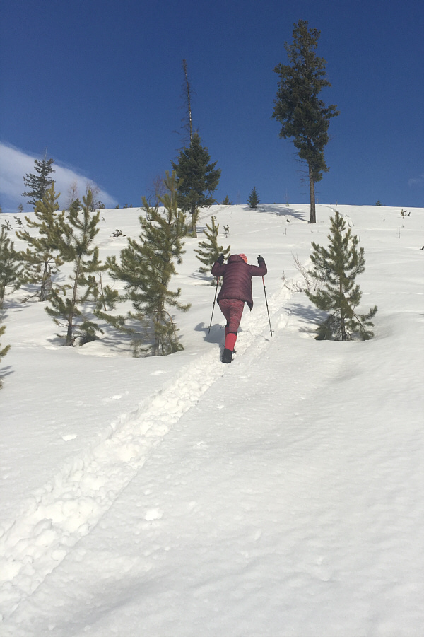 Not as easy as it looks...