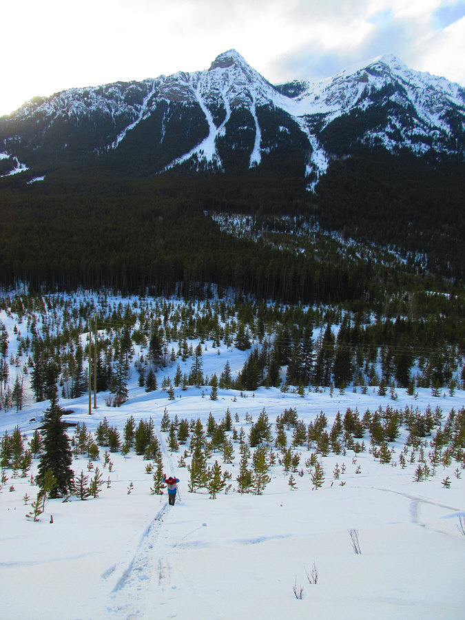 I wish I had brought my AT skis for this...