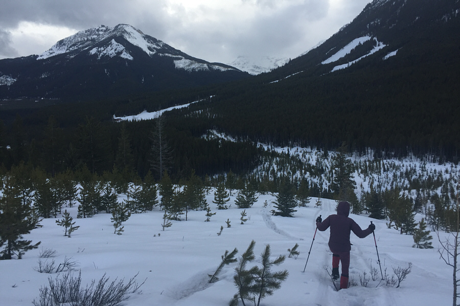 We would like to return and try this ski hill when there is better snow.