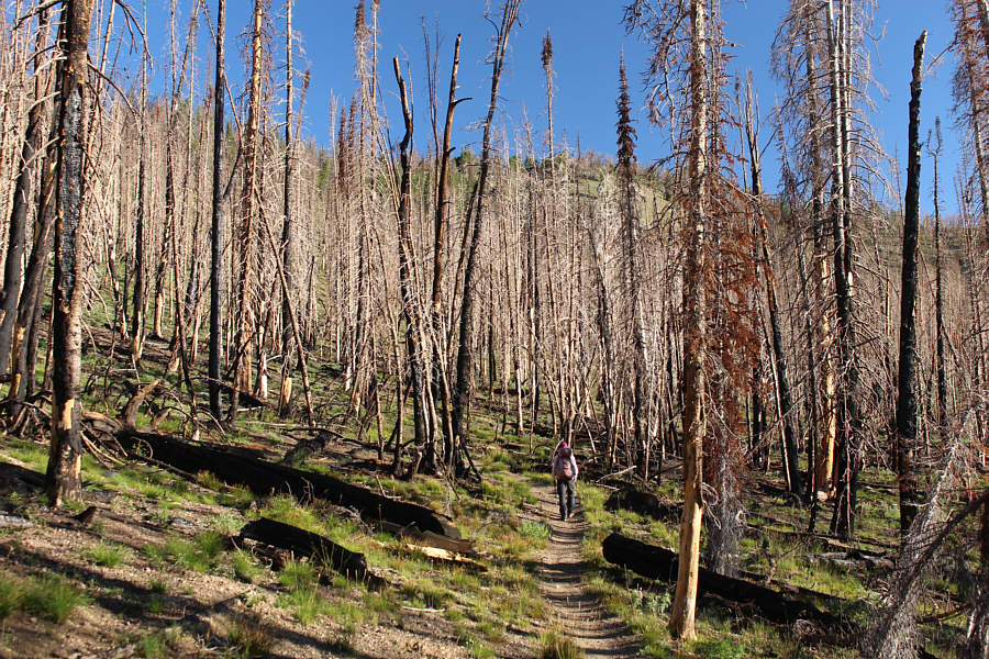 I guess it's safe to have a cigarette here?