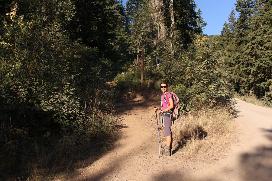 Watch out! There is a surprising amount of traffic on this road.