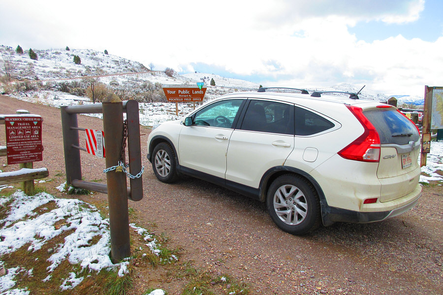 How lucky were we that the gate opened just this day?