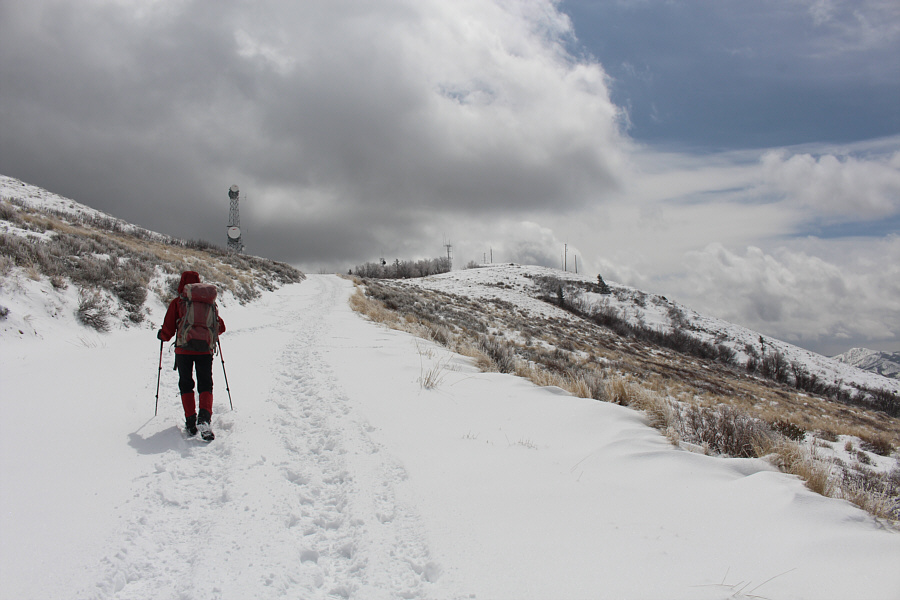 So nice to see some sunshine!