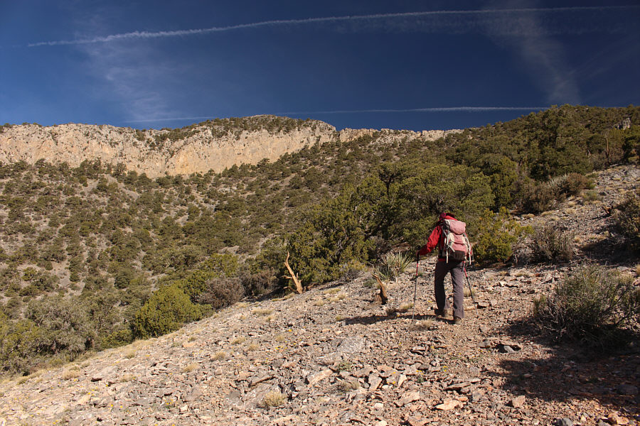 Doesn't look so bad from here!