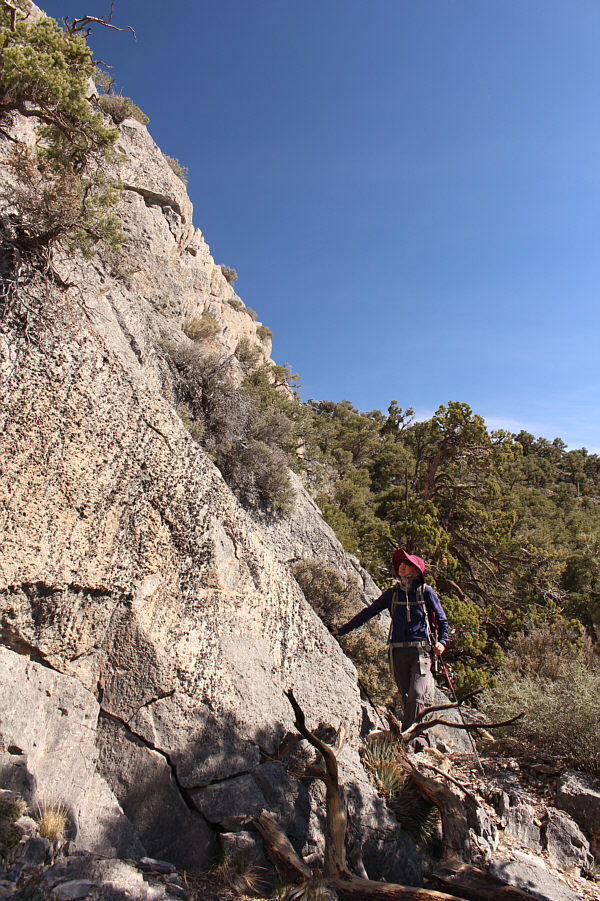 We're not at the crux yet!