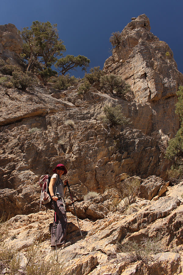 Huge sigh of relief!